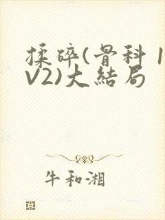 揉碎(骨科 1V2)大结局