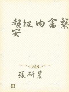 超级肉禽系统保安