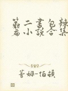 第二书包辣网短篇小说合集
