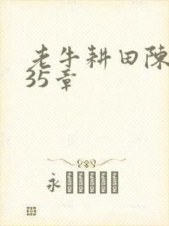 老牛耕田陈雪435章