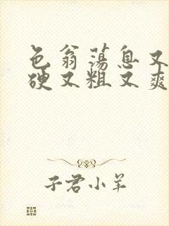 色翁荡息又大又硬又粗又爽