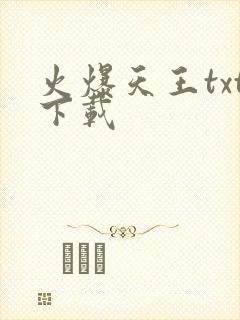 火爆天王txt下载