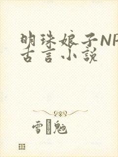 明珠娘子NPC古言小说