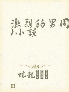 激烈的男同(h)小说