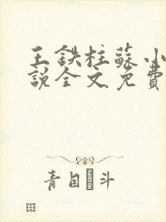 王铁柱苏小汐小说全文免费阅读最新章节