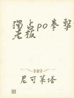 独占po拳击馆老板