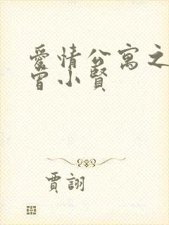 爱情公寓之极品曾小贤