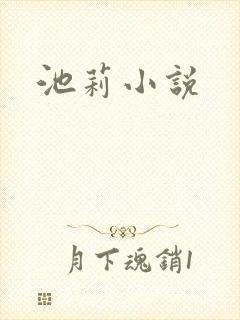 池莉小说