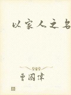 以家人之名小说