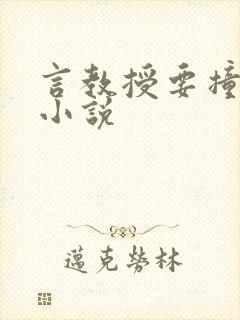 言教授要撞坏了小说