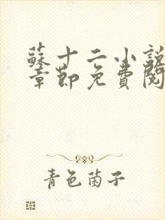 苏十二小说最新章节免费阅读全文