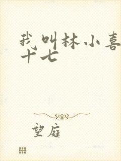 我叫林小喜今年十七