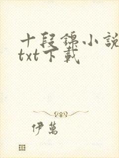 十段锦小说全本txt下载