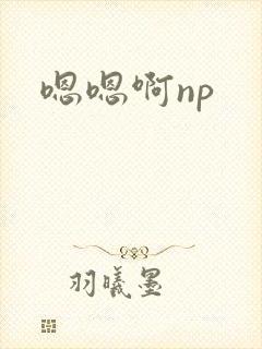 嗯嗯啊np