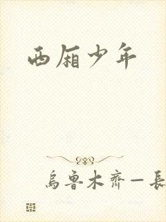 西厢少年