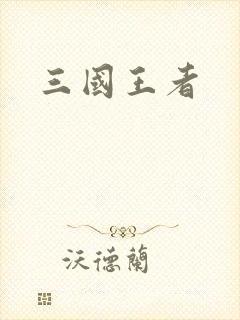 三国王者