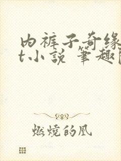 内裤子奇缘txt小说 笔趣阁