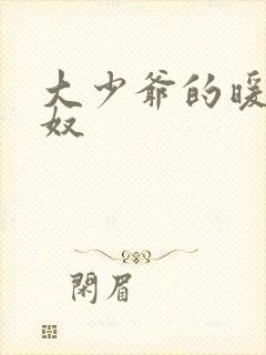 大少爷的暖床小奴