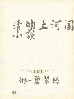 清明上河图密码小说