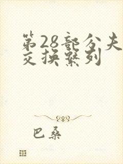 第28部分夫妇交换系列