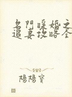 名门暖婚之权爷追妻攻略全文免费阅读