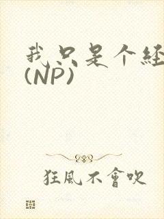 我只是个经纪人(NP)