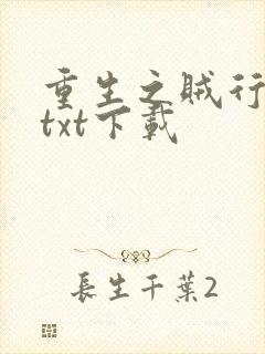 重生之贼行天下txt下载