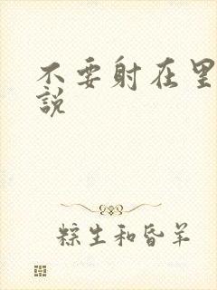 不要射在里面小说