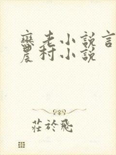 恋老小说言情网农村小说