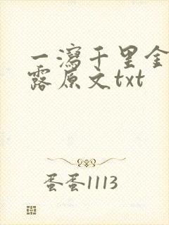 一泻千里金银花露原文txt