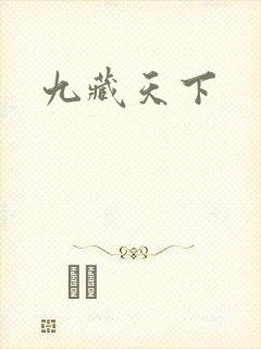 九藏天下