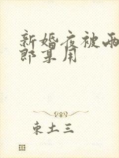 新婚夜被两个伴郎享用