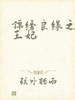 锦绣良缘之北地王妃