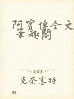 阿宾传全文阅读 笔趣阁
