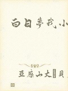 白日梦我小说