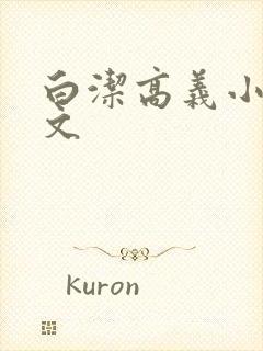 白洁高义小说全文