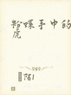 粉蝶手中的纸老虎