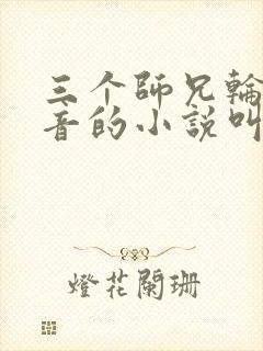 三个师兄轮流上音的小说叫什么