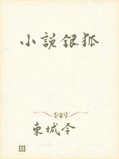 小说银狐