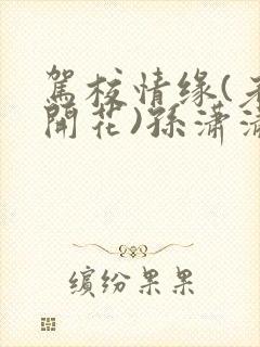 驾校情缘(老树开花)孙潇潇笔趣阁