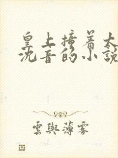 皇上撞着太子妃沈音的小说叫什么