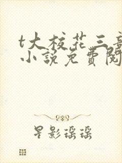 t大校花三部曲小说免费阅读全文