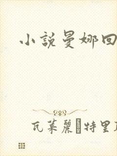 小说曼娜回忆录