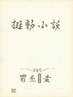 挺动小说