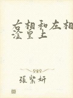 右相和左相一起淦皇上