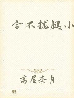 合不拢腿小说