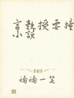 言教授要撞坏了小说