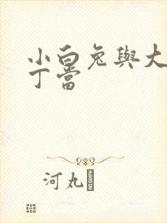 小白兔与大灰狼丁当