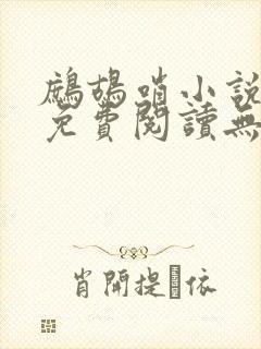 鹧鸪哨小说网站免费阅读无弹窗