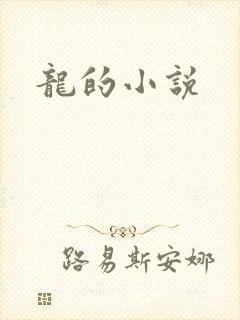 龙的小说